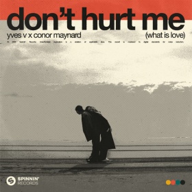YVES V & CONOR MAYNARD - DON'T HURT ME (WHAT IS LOVE)